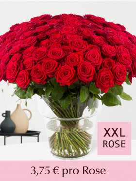 Stückzahl Rote Rosen 100-499 Stück - Valentinstag