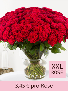 Stückzahl Rote Rosen 100-499 Stück - Valentinstag