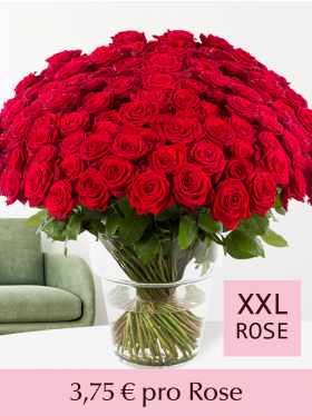 500 bis 1001 Rote Rosen