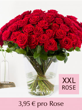 Stückzahl Rote Rosen - Red Naomi - Valentinstag