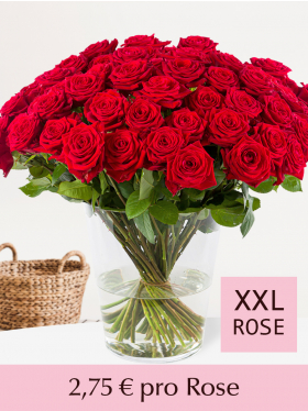 10 bis 99 Rote Rosen - Red Naomi