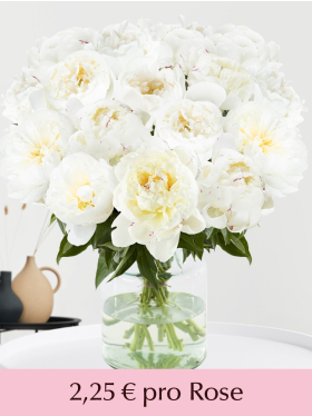 Weiße Pfingstrosen von 10 bis 99 Rosen