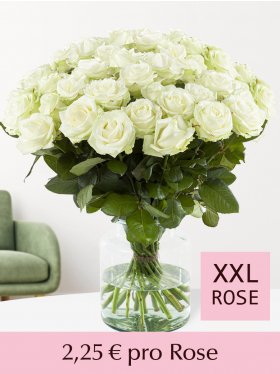 Stückzahl Weiße Rosen - 100 bis 499