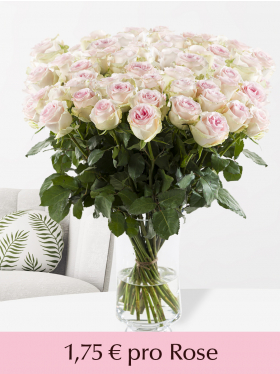 100 bis 499 Zart-Rosa Rosen