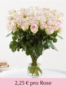 100 bis 499 Rosa Rosen