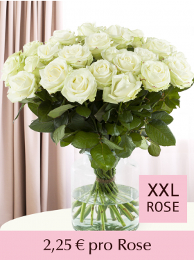 10 bis 99 Weiße Rosen