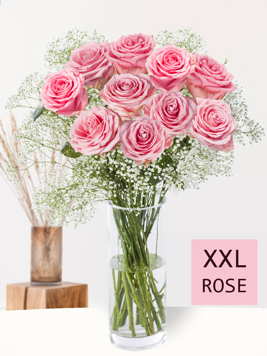10 Rosa Rosen mit Schleierkraut (XXL Blüte)