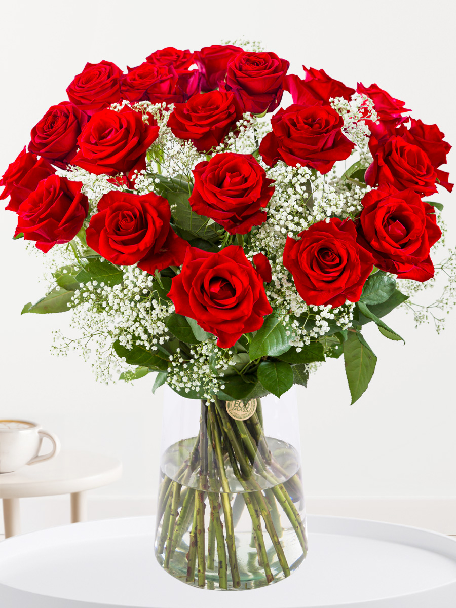 Rote Rosen mit Schleierkraut - XXL Rosen