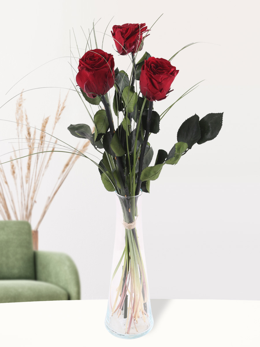 Drei bordeauxrote, long life Rosen inklusive Glasvase