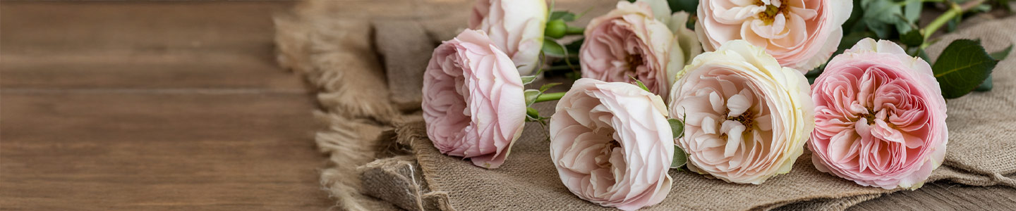 Ländliche Sträuße Ländliche Sträuße