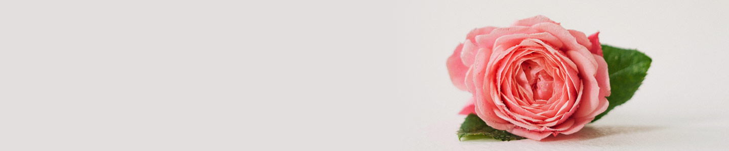 Moderne Blumensträuße Moderne Blumensträuße