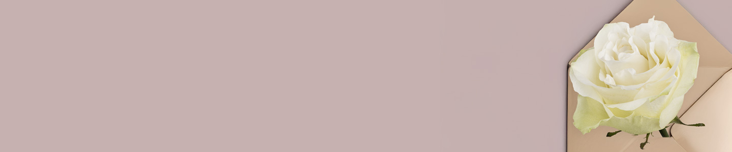 Rosensorte Moonstone