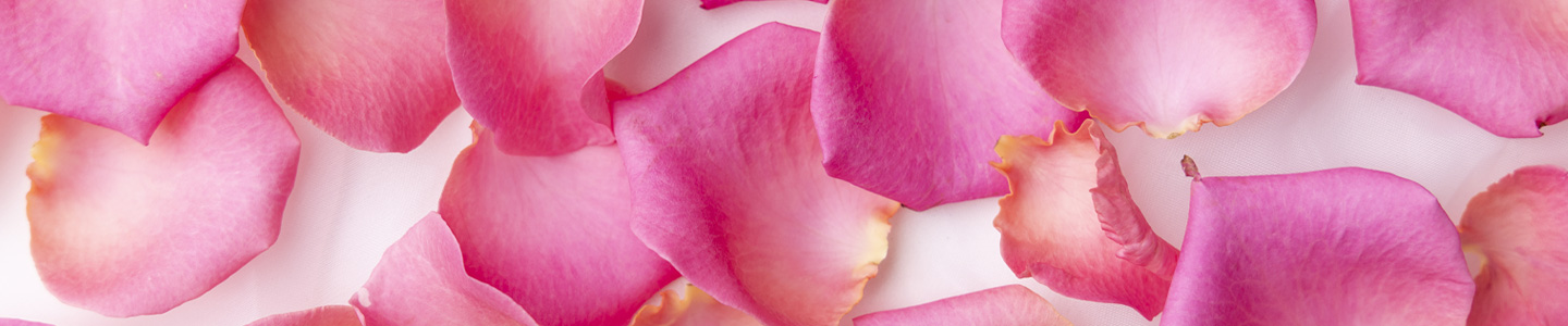 Revival Rosen bestellen