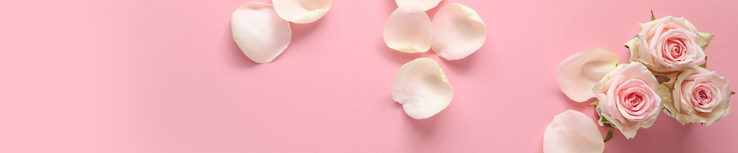 Rosenversand Bayreuth