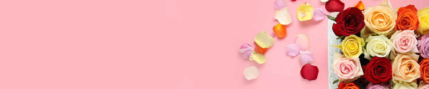 Rosenversand Braunschweig