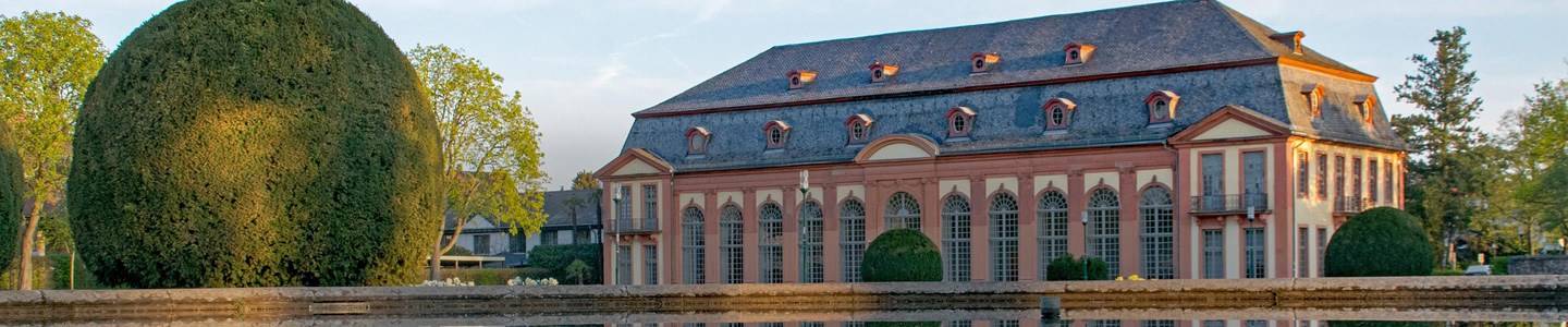 Rosenversand Darmstadt