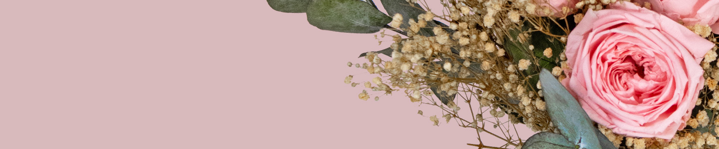 Rosenversand Delmenhorst