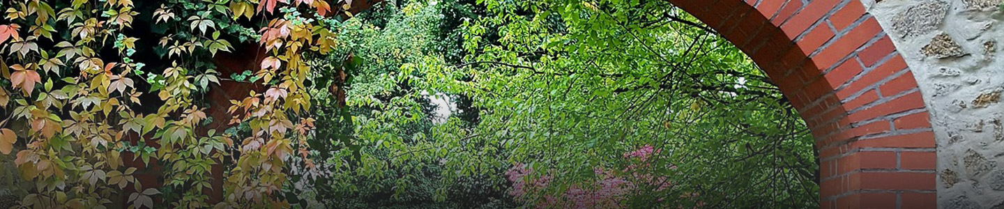 Rosenversand Görlitz Rosenversand Görlitz