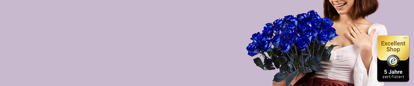 Rosenversand Ingolstadt Rosenversand Ingolstadt