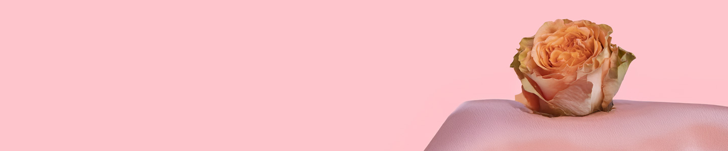 Rosenversand Karlsruhe