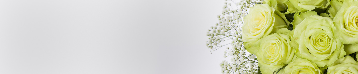 Rosenversand Lüneburg