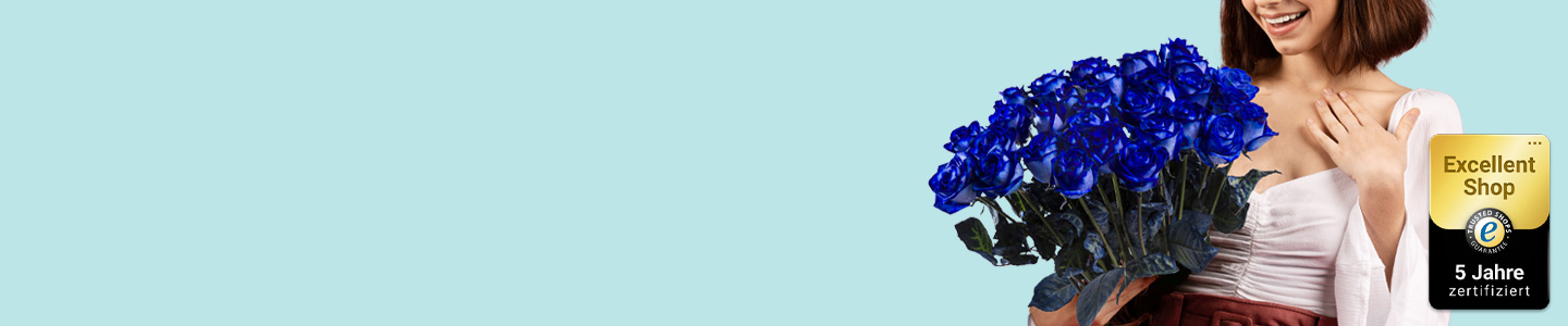 Rosenversand Mannheim