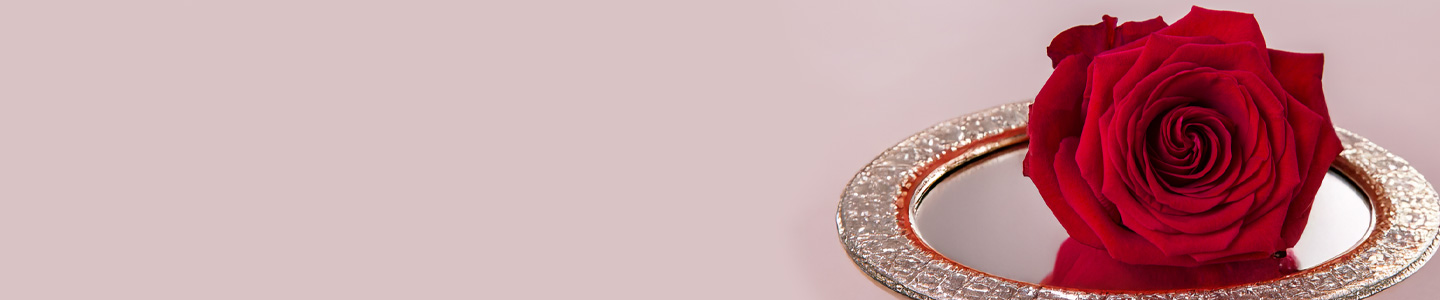 Rosenversand Osnabrück