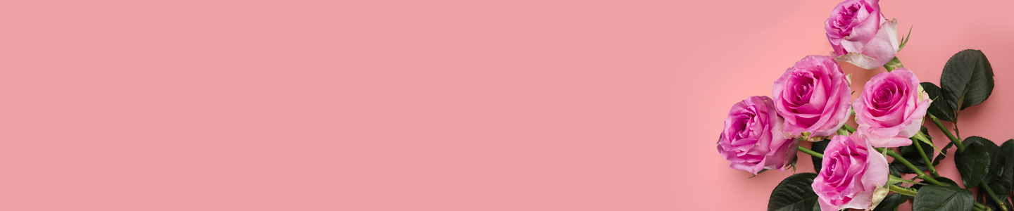 Rosenversand Regensburg