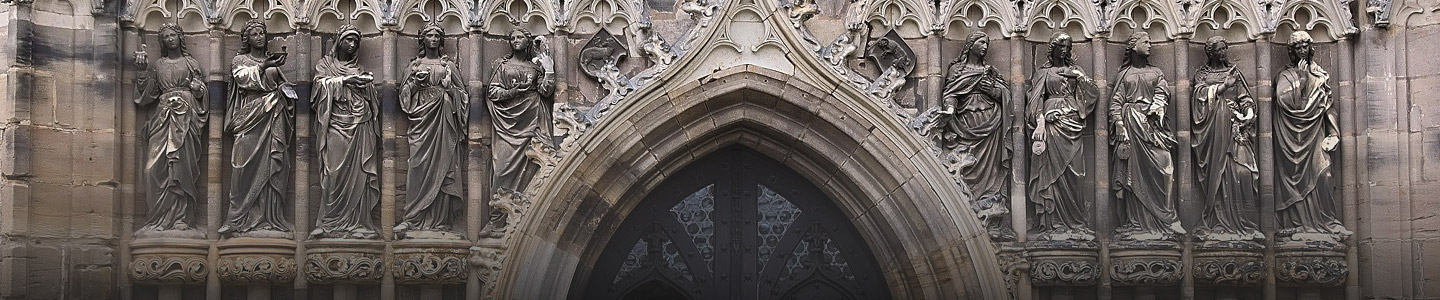 Rosenversand Zwickau