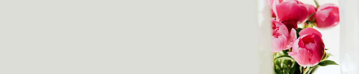 Gefüllte, halbgefüllte oder ungefüllte Pfingstrosen Gefüllte, halbgefüllte oder ungefüllte Pfingstrosen