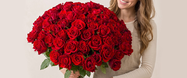 100 Rote Rosen - Red Naomi 100 Rote Rosen - Red Naomi