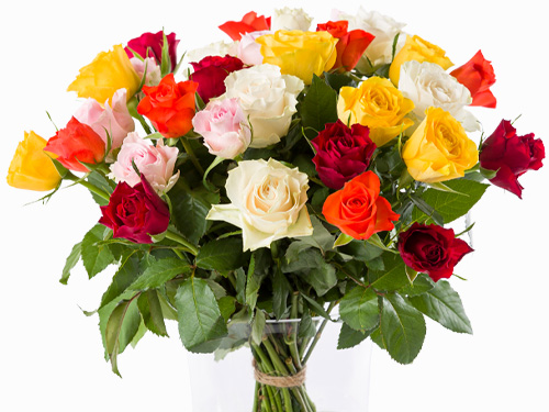 30 bunte Rosen 30 bunte Rosen