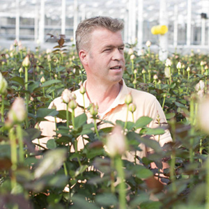 Züchter: Berg Roses