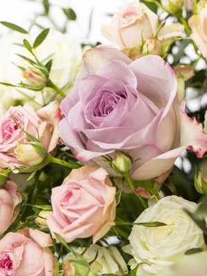 Blumen verschenken und bekommen macht glücklich Blumen verschenken und bekommen macht glücklich