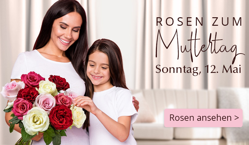 Rosen online bestellen zum Muttertag
