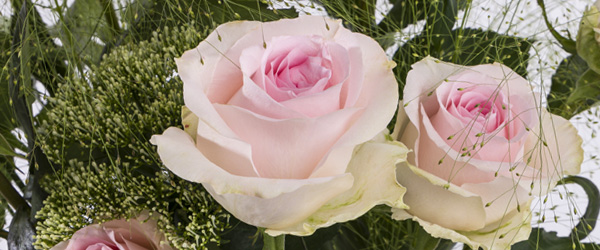 Blumen zur Geburt Blumen zur Geburt