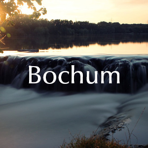 Rosenlieferung in Bochum