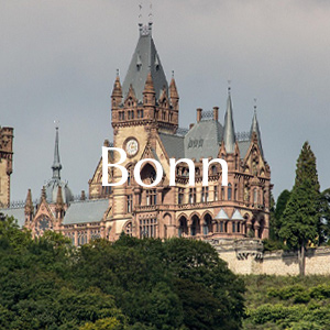 Rosenlieferung in Bonn