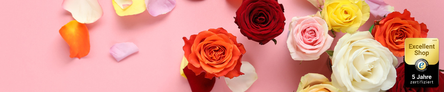 Bunte Rosen