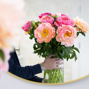 Coral Charm Pfingstrosen Coral Charm Pfingstrosen