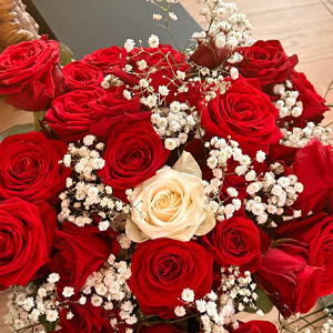 Rote Rosen mit 1 Weiße Rose