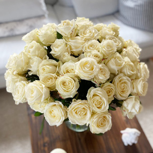 Weiße Rosen Weiße Rosen