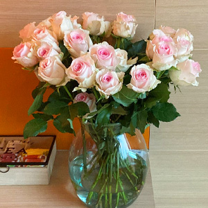 Rosa Rosenstrauß Rosa Rosenstrauß