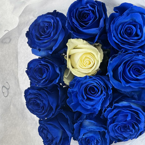 Blaue Rosen bestellen Blaue Rosen bestellen
