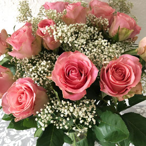 15 Rosa Rosen mit Schleierkraut - Hermosa 15 Rosa Rosen mit Schleierkraut - Hermosa