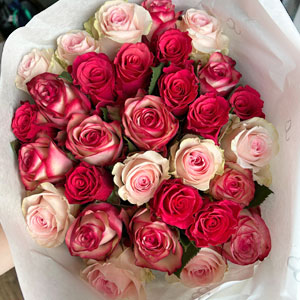 30 Rosa Rosenmix 30 Rosa Rosenmix