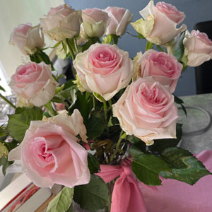Rosa Rosen bestellen Rosa Rosen bestellen