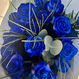 Kundenfoto - Blaue Rosen