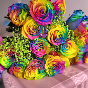 Kundenfoto: Regenbogen Rosen Kundenfoto: Regenbogen Rosen