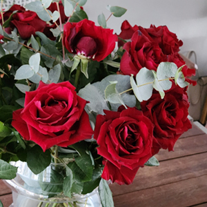 Rote Rosen mit Eukalyptus